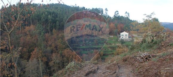 10538m² Land in Rossas, Portugal No. 35812 6