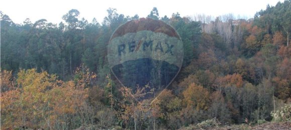 10538m² Land in Rossas, Portugal No. 35812 2