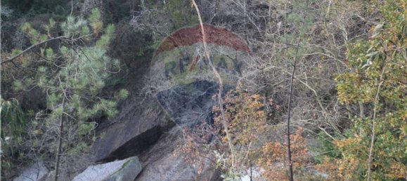 10538m² Land in Rossas, Portugal No. 35812 9