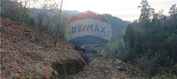 10538m² Land in Rossas, Portugal No. 35812 14