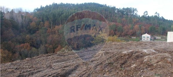 10538m² Land in Rossas, Portugal No. 35812 5