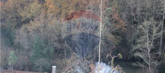 10538m² Land in Rossas, Portugal No. 35812 19