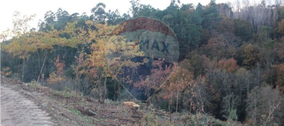 10538m² Land in Rossas, Portugal No. 35812 23