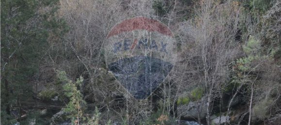 10538m² Land in Rossas, Portugal No. 35812 8