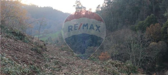 10538m² Land in Rossas, Portugal No. 35812 18