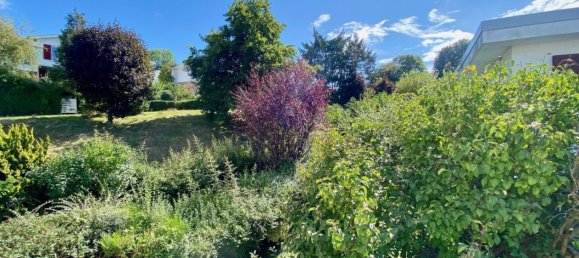 5 غرف نوم فيلا في La Celle-Saint-Cloud, France رقم 168575 4