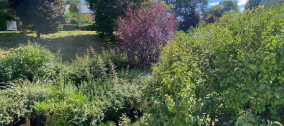 5 غرف نوم فيلا في La Celle-Saint-Cloud, France رقم 168575 11