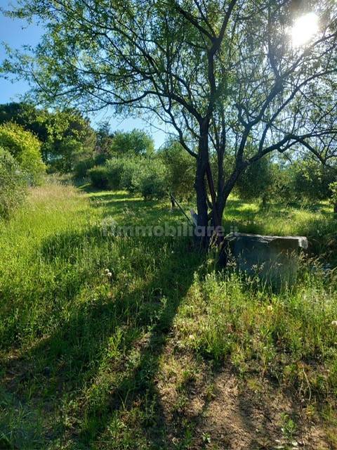 2000m² Land in Pesaro, Italy No. 106578
