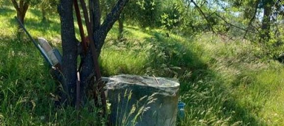 2000m² Land in Pesaro, Italy No. 106578 4