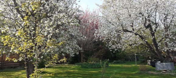 777m² Land in Krenglbach, Austria No. 165015 9