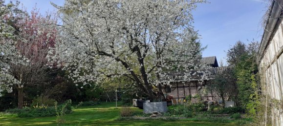 777m² Land in Krenglbach, Austria No. 165015 11