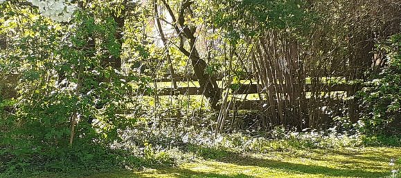 777m² Land in Krenglbach, Austria No. 165015 2