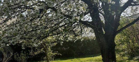 777m² Land in Krenglbach, Austria No. 165015 6