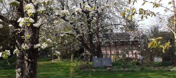 777m² Land in Krenglbach, Austria No. 165015 7