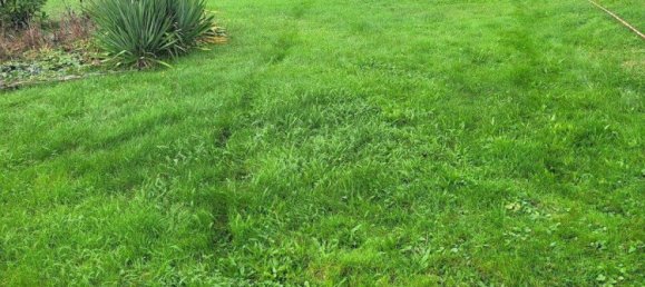  Land in Lorrach, Germany No. 362989 3