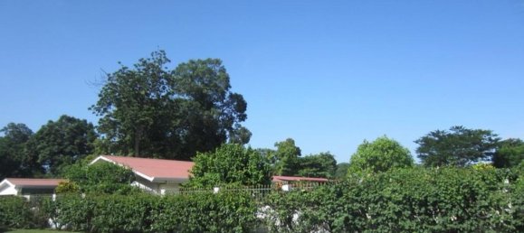 2 bedrooms House in Puerto Carrillo, Costa Rica No. 161 2