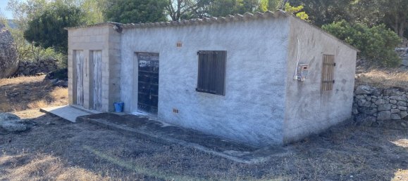 4 bedrooms House in Sotta, France No. 91519 8