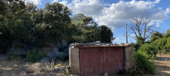 4 bedrooms House in Sotta, France No. 91519 10