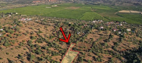 Terrain à Silves, Portugal 3420m² No. 81345 2