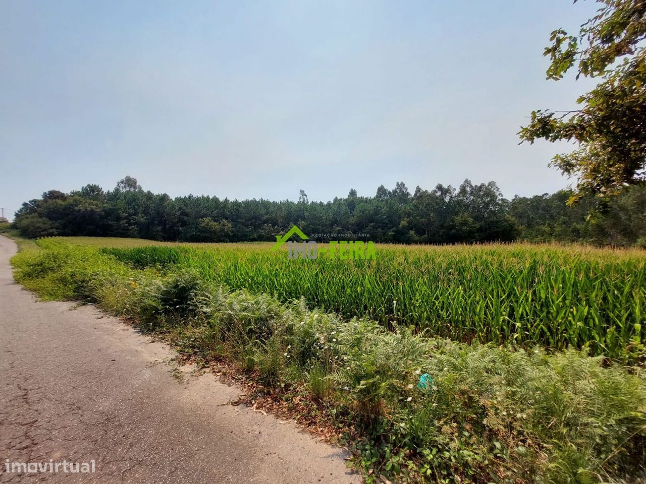 8942m² Land in Santa Maria da Feira, Portugal No. 227409