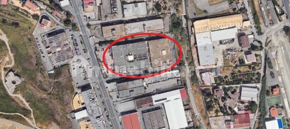 1 room Office in Catanzaro, Italy No. 147265 14