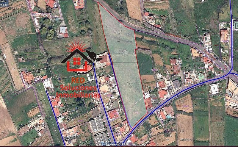  قطعة أرض في Tacoronte, Spain 8124متر مربع رقم 269556