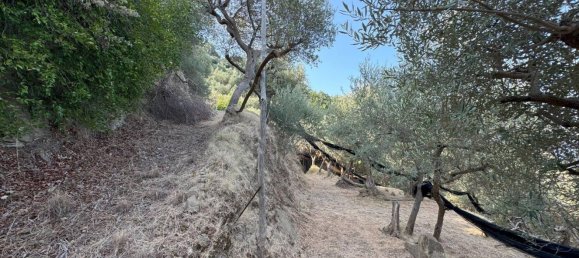 6 bedrooms House in Massa Lubrense, Italy No. 357521 5