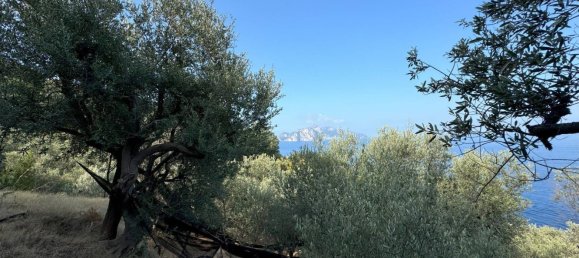 6 bedrooms House in Massa Lubrense, Italy No. 357521 4