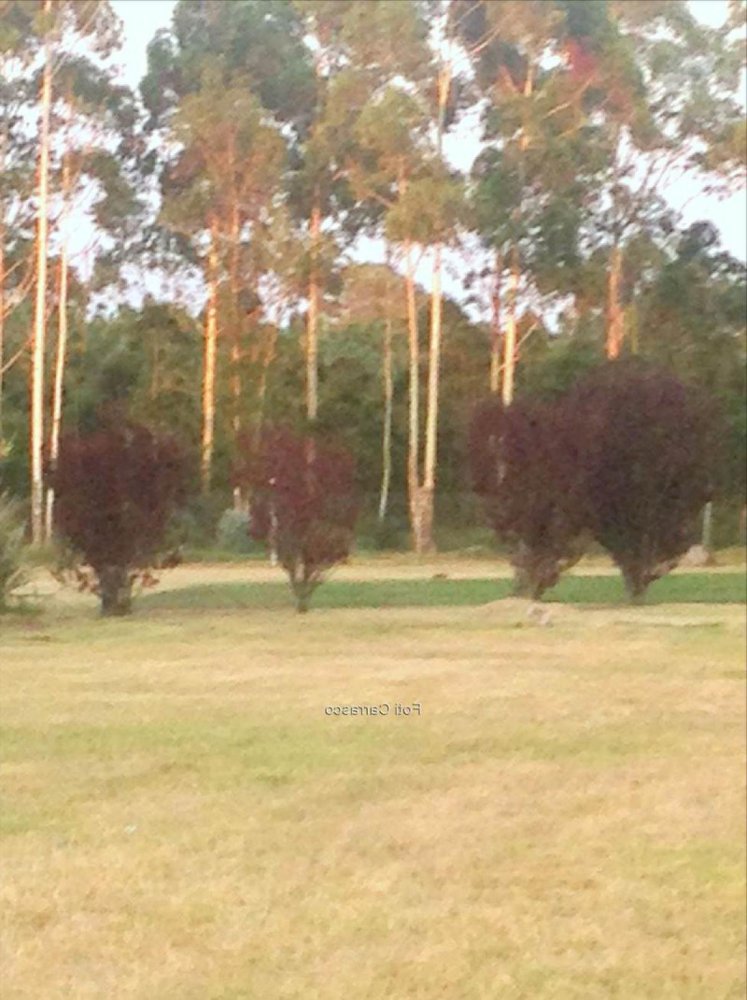 Grundstück in Canelones, Uruguay, Nr. 15929