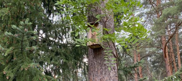 2-Zimmer Bungalow in Brandenburg, Germany, Nr. 32629 19