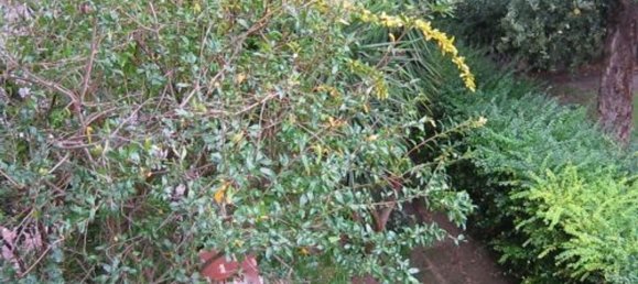 7-salle Maison à Grosseto, Italy No. 129009 6