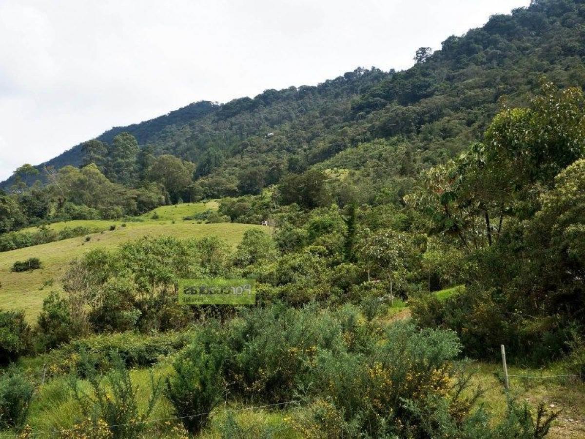  Land in Antioquia, Colombia No. 836
