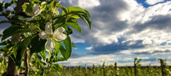 Edificio en Bodenseekreis, Germany 2853 m² No. 62807 6