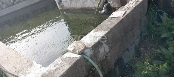 Terreno en Baiao, Portugal 3976 m² No. 36501 10