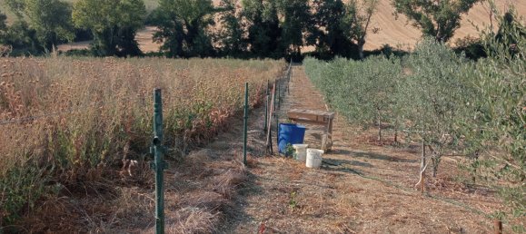 7500m² Land in Monte Porzio, Italy No. 76431 4