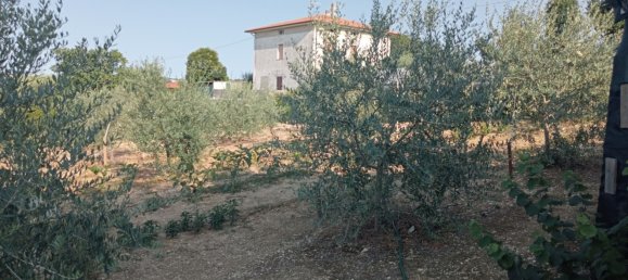 7500m² Land in Monte Porzio, Italy No. 76431 2