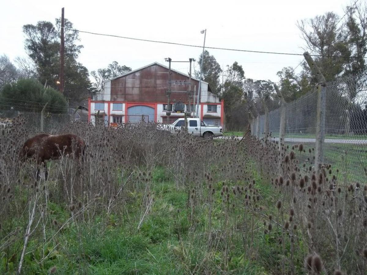  Land in Mar del Plata, Argentina No. 110663
