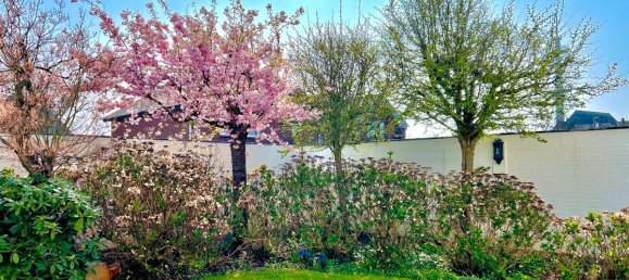 2 bedrooms Duplex in Nordfriesland, Germany No. 262934 4