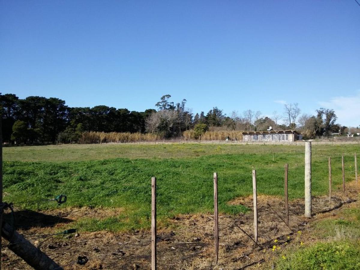 Terrain à Mar del Plata, Argentina No. 114463