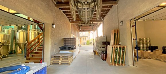 390m² Commercial property in Muttersholtz, France No. 255836 20