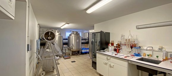 390m² Commercial property in Muttersholtz, France No. 255836 12