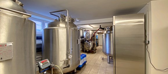 390m² Commercial property in Muttersholtz, France No. 255836 10