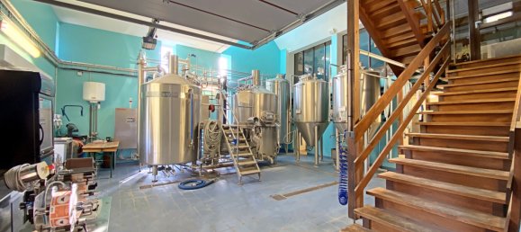 390m² Commercial property in Muttersholtz, France No. 255836 8