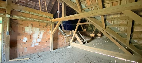 390m² Commercial property in Muttersholtz, France No. 255836 13