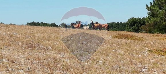  قطعة أرض في Sines, Portugal 82500متر مربع رقم 92258 2