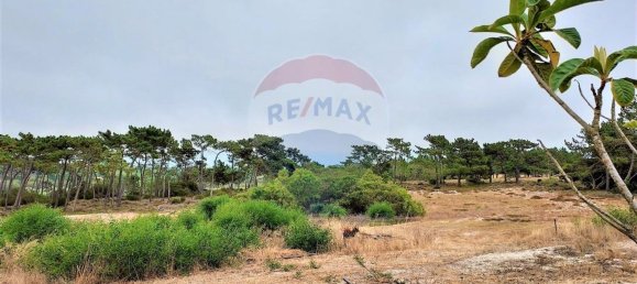  قطعة أرض في Sines, Portugal 82500متر مربع رقم 92258 5