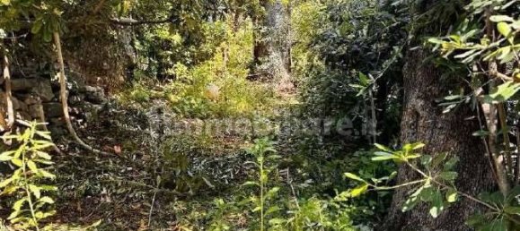 3-Zimmer Wohnung in Bordighera, Italy, Nr. 280828 8