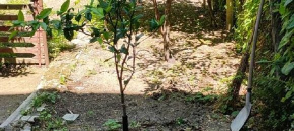 6-salle Appartement à Orsogna, Italy No. 115349 25