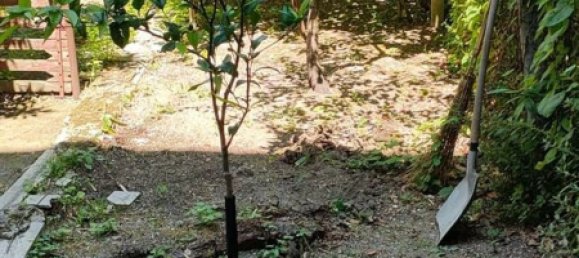 6-salle Appartement à Orsogna, Italy No. 115349 23