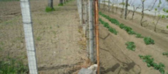 4465m² Land in Orta di Atella, Italy No. 376741 13